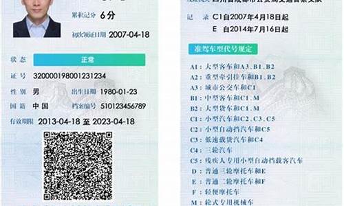 驾驶证个人信息查询_驾驶证个人信息查询入