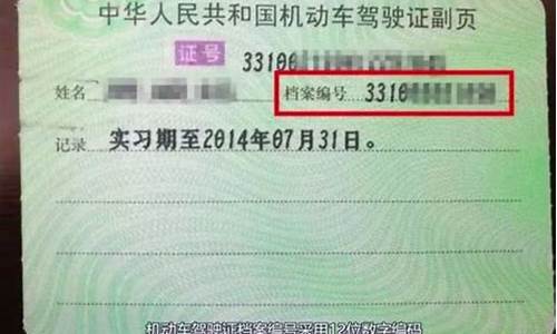 机动车驾驶证分数查询_机动车驾驶证分数查询网